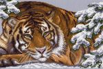 Канва с рисунком "Амурский тигр"