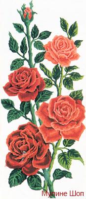 Канва с рисунком "Алые розы"