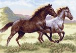 Канва с рисунком "Бегущие кони"