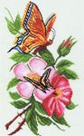 Канва с рисунком "Бабочки и цветы"