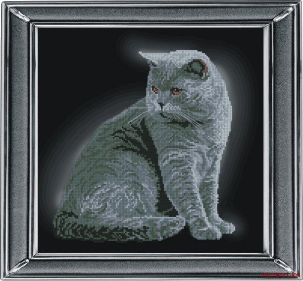 Набор для вышивания "Британская короткошерстная кошка"