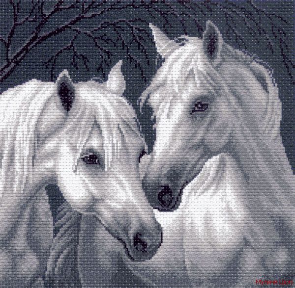 Канва с рисунком "Лошади"