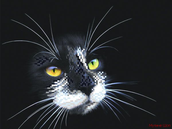 Ткань с рисунком "Черный кот"