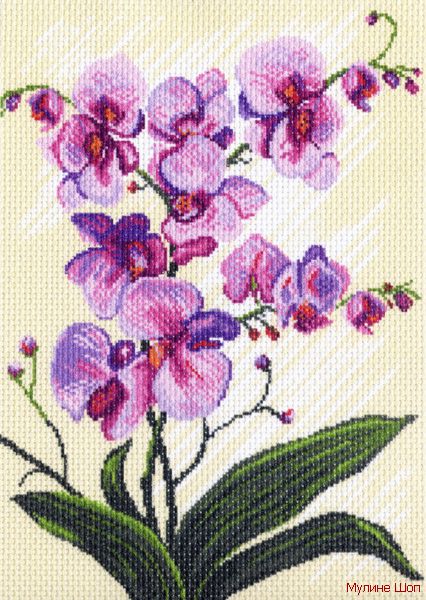Канва с рисунком "Орхидеи"