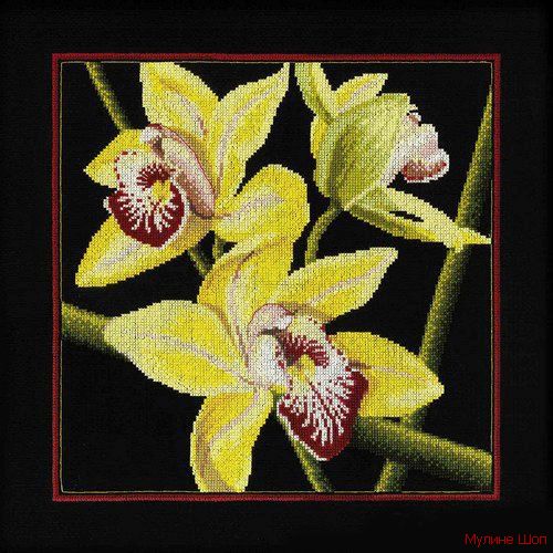 Набор для вышивания "Орхидеи Цимбидиум"