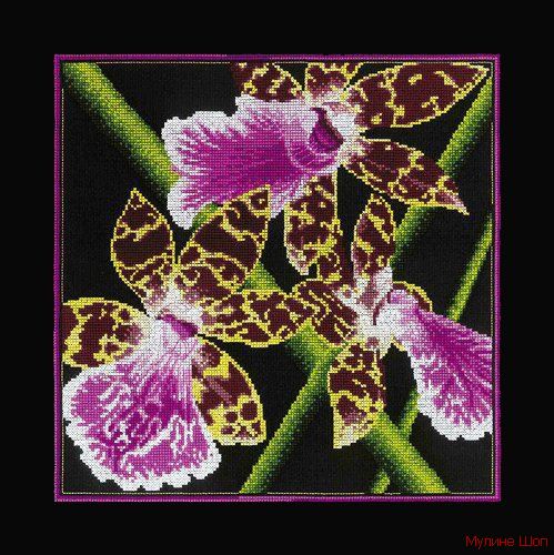 Набор для вышивания "Орхидеи Зигопеталум"