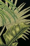 Набор для вышивания "Пальмовые листья 3"