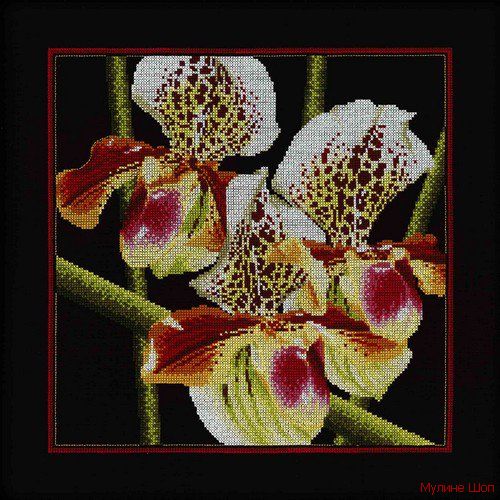 Набор для вышивания "Орхидеи Пафиопедилум"