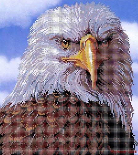 Ткань с рисунком "Гордый орел"