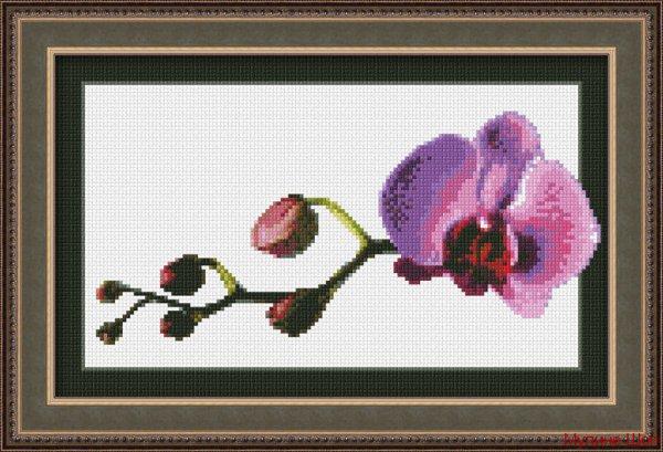 Набор для вышивания "Маленькая орхидея"