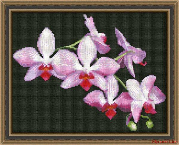 Набор для вышивания "Ветка орхидеи"