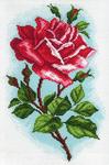 Канва с рисунком "Роза Осирия"