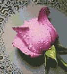 Алмазная мозаика "Розовая Роза"
