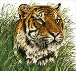 Алмазная мозаика "Уссурийский тигр"