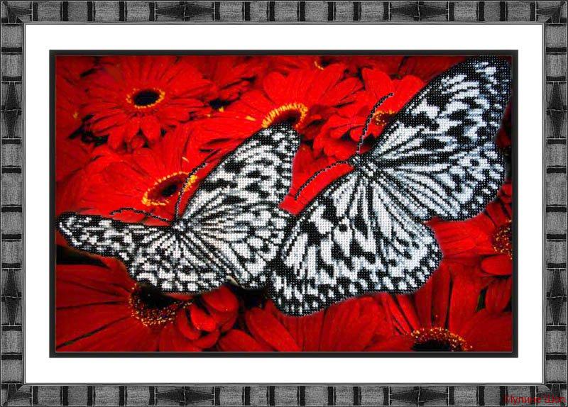 Набор для вышивания "Бабочки на красном"
