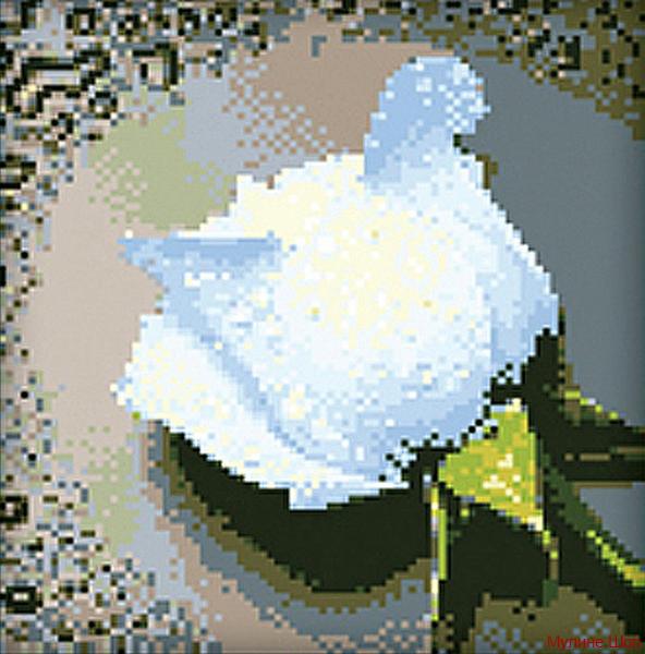 Алмазная мозаика "Белая роза"