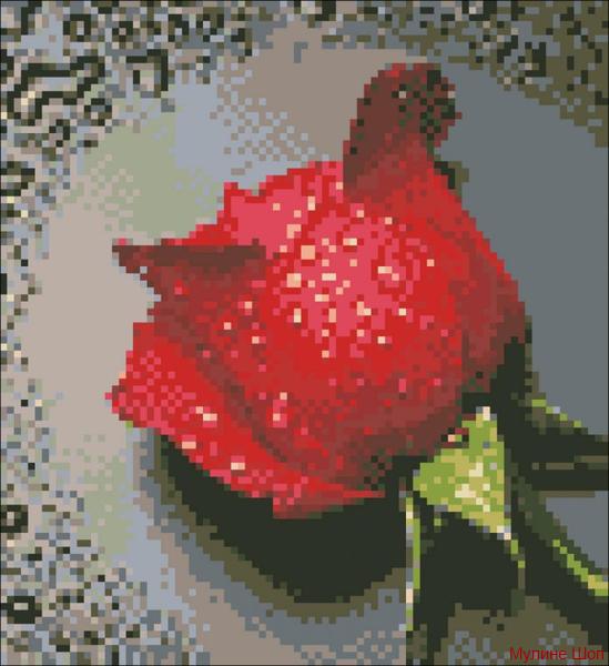 Алмазная мозаика "Красная Роза"
