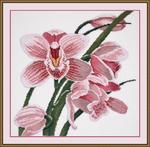 Набор для вышивания "Зов Орхидеи"