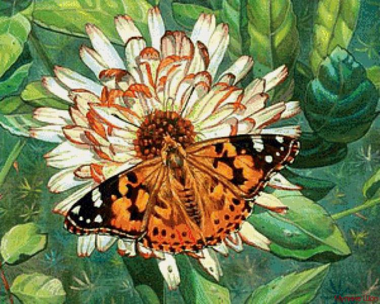 Алмазная мозаика "Бабочка на цветке"
