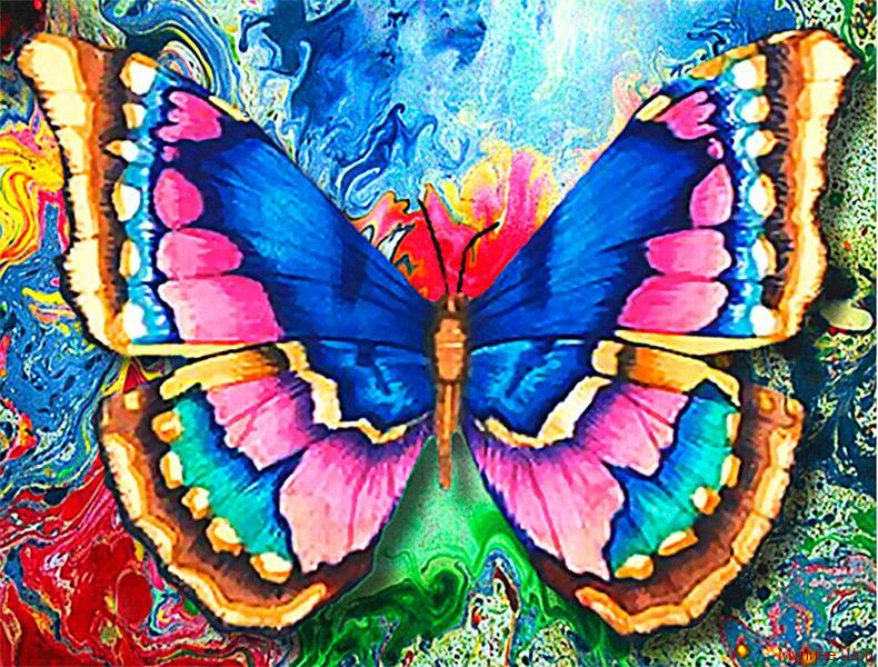 Алмазная мозаика "Рисунок бабочки"