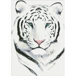 Алмазная мозаика "Белый тигр"