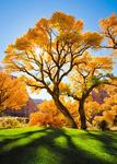 Алмазная мозаика "Осеннее дерево"