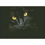 Алмазная мозаика "Черная кошка"