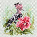 Канва с рисунком "Райская птица"