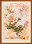 Набор для вышивания "Письма о любви. Роза"