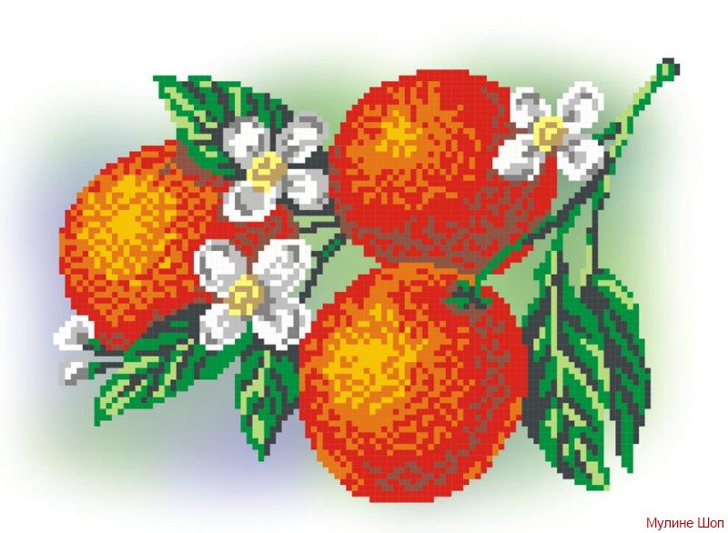 Набор для вышивания "Апельсины"