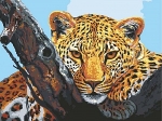 Канва с рисунком "Взгляд леопарда"