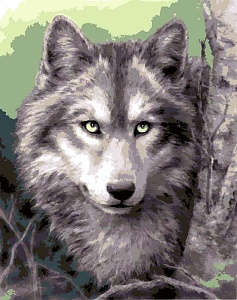 Канва с рисунком "Серый волк"