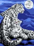 Канва с рисунком "Снежные леопарды"