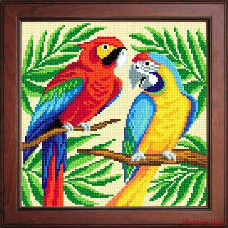 Канва с рисунком "Пара попугаев"