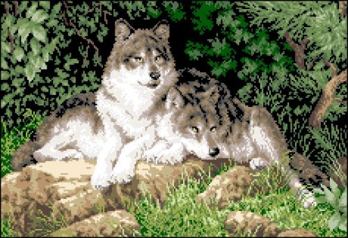 Канва с рисунком "Волки"