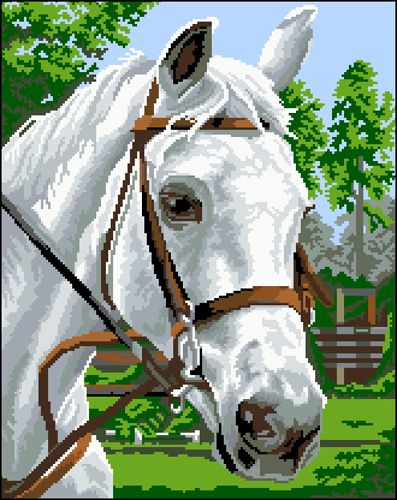 Канва с рисунком "Белый конь"