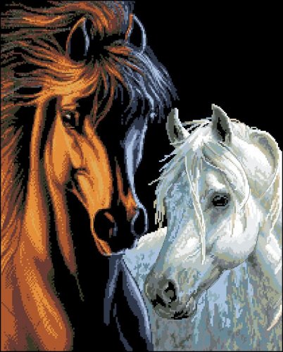 Канва с рисунком "Конь и лошадь"