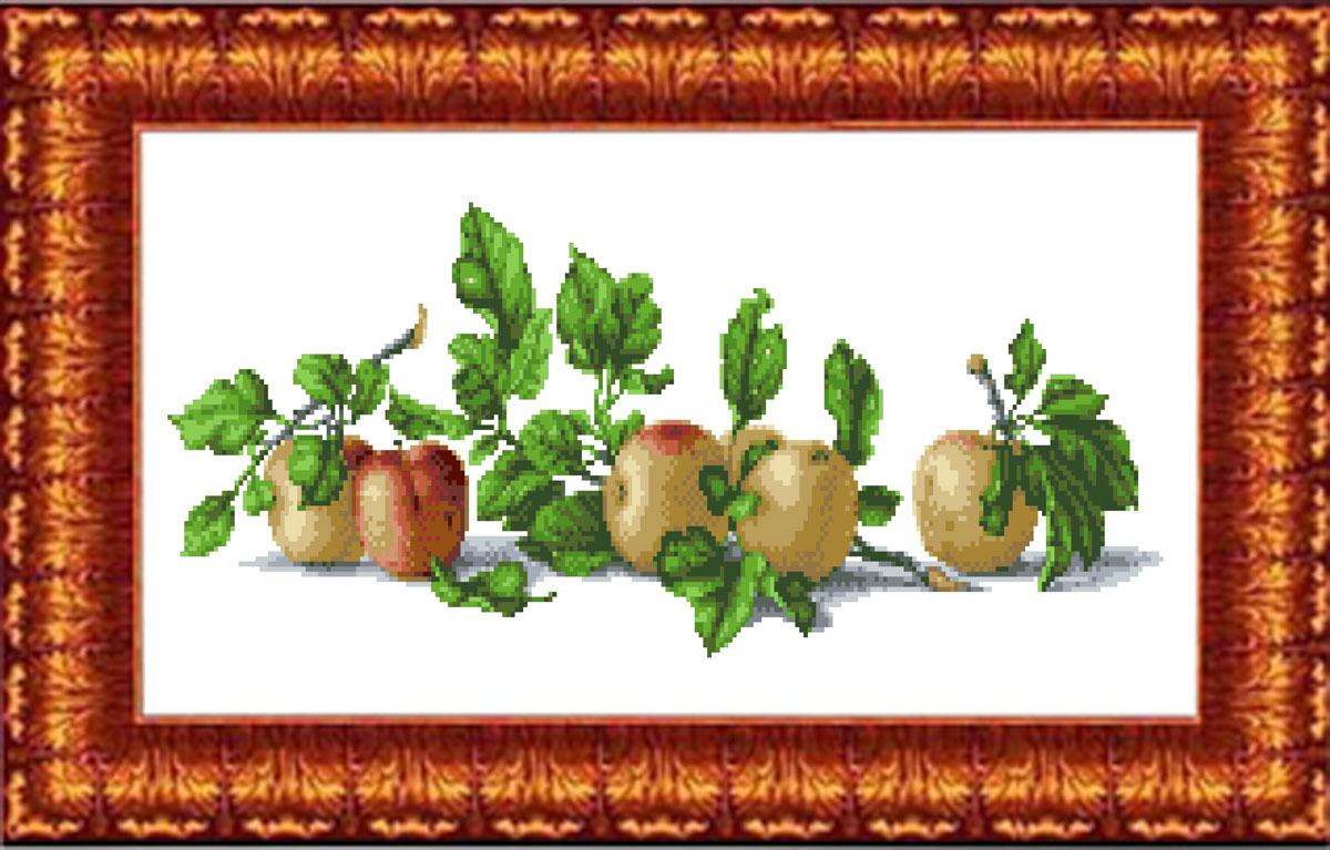 Канва с рисунком "Натюрморт с яблоками "