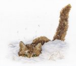 Набор для вышивания "Кот в снегу"
