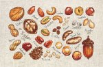 Набор для вышивания "Орехи и семена"