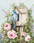 Набор для вышивания "Птичий дом и розы"