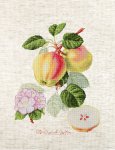 Набор для вышивания "Яблоки"