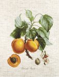 Набор для вышивания "Персики"