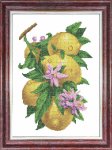 Канва с рисунком "Лимон"