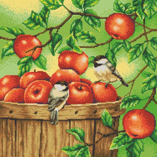 Канва с рисунком "Яблоки"