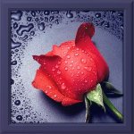 Алмазная мозаика "Красная роза"