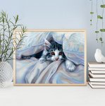 Алмазная мозаика "Кот под одеялом"