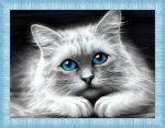 Алмазная мозаика "Голубоглазая кошка"