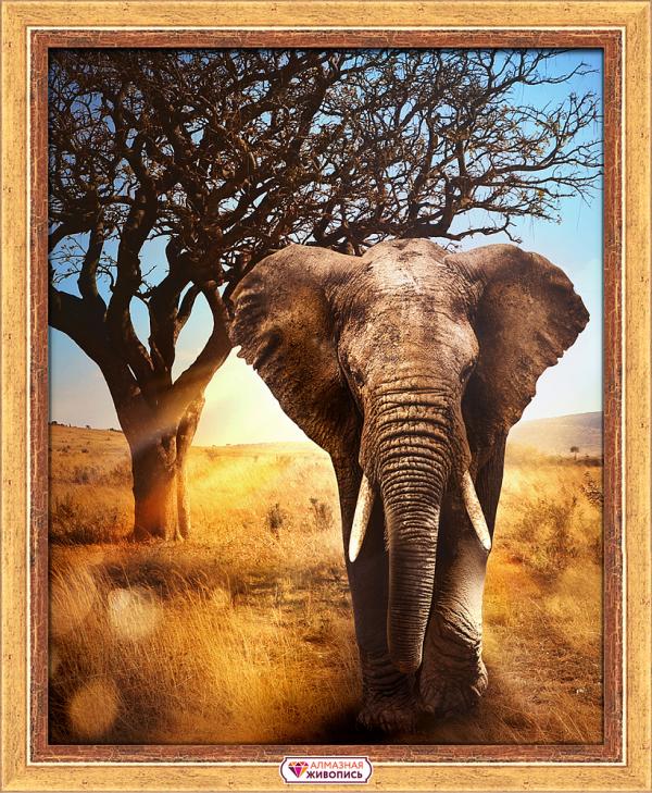Алмазная мозаика "Африканский слон"