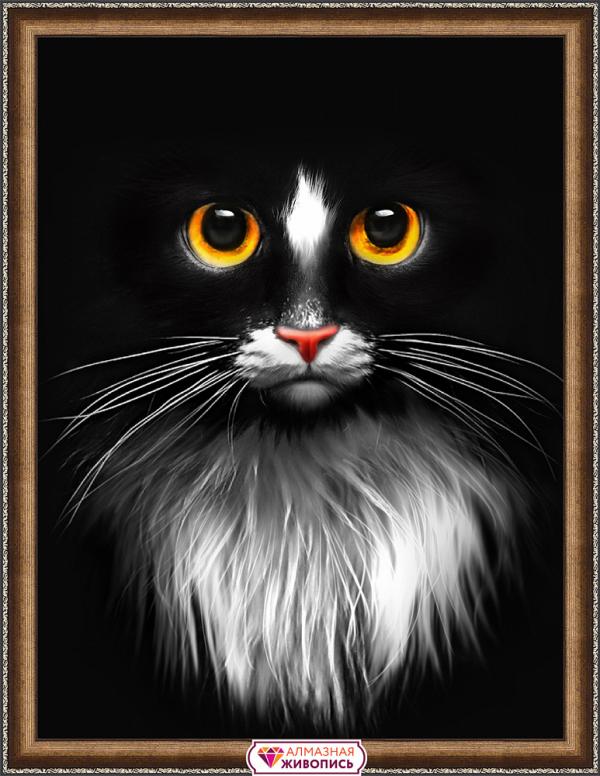 Алмазная мозаика "Черный кот"